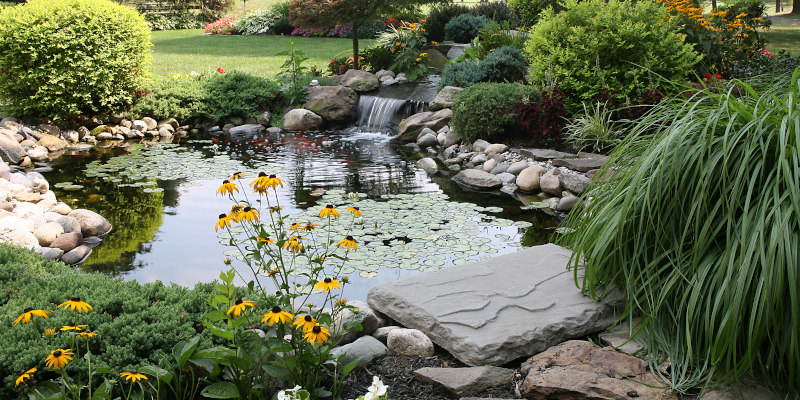 Water Gardens in Durham, North Carolina